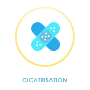 Cicatrisation Icon